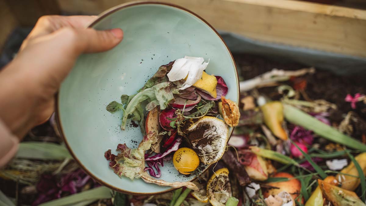 Descubre cómo hacer compost en tu jardín